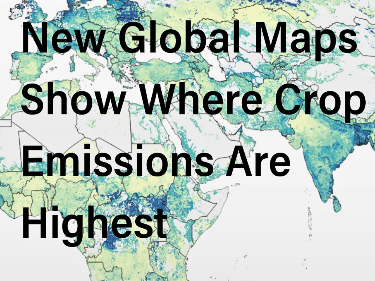 1. Crop Emissions Exposed: How Rice, Corn, and Palm Oil Are Heating Up the Planet
