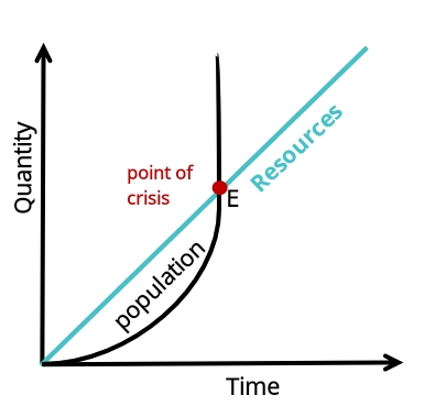 The Human Development Index (HDI)