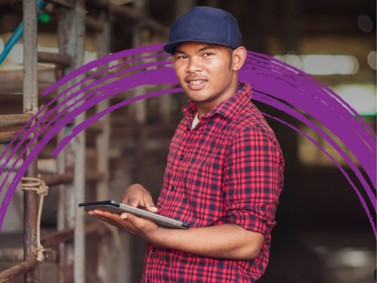 Pension Systems in Crisis: OECD Report Reveals Challenges and Opportunities for Reform, h2