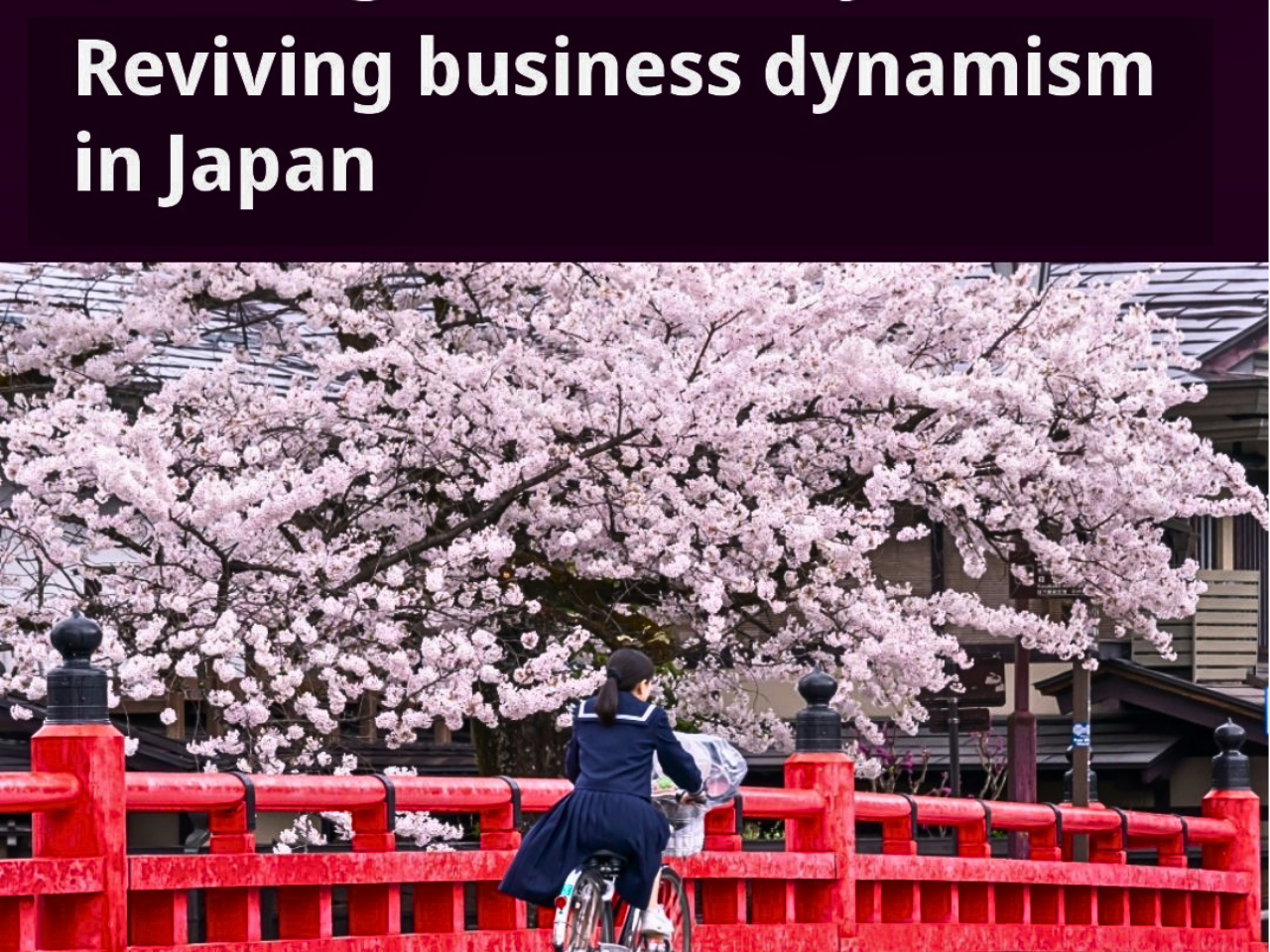 The image represent japan's business dynamism
